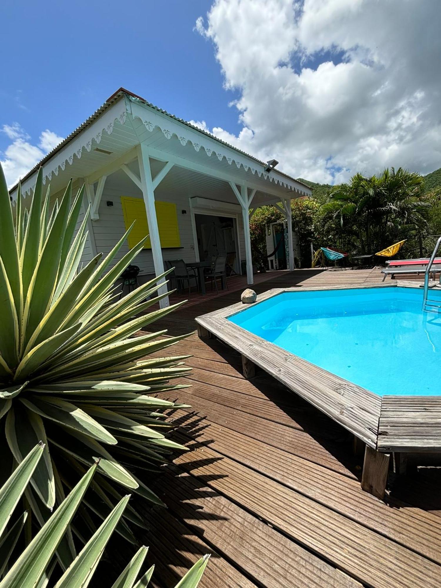 Villa Piscine - Maracudja Лез-Анс-д'Арле Екстер'єр фото